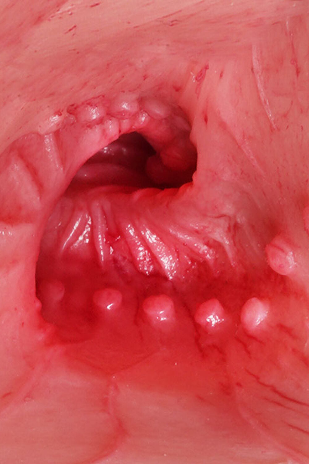 Tantaly I 75cm/2ft6 60.6LB Big Tits Sex Doll – Jennifer