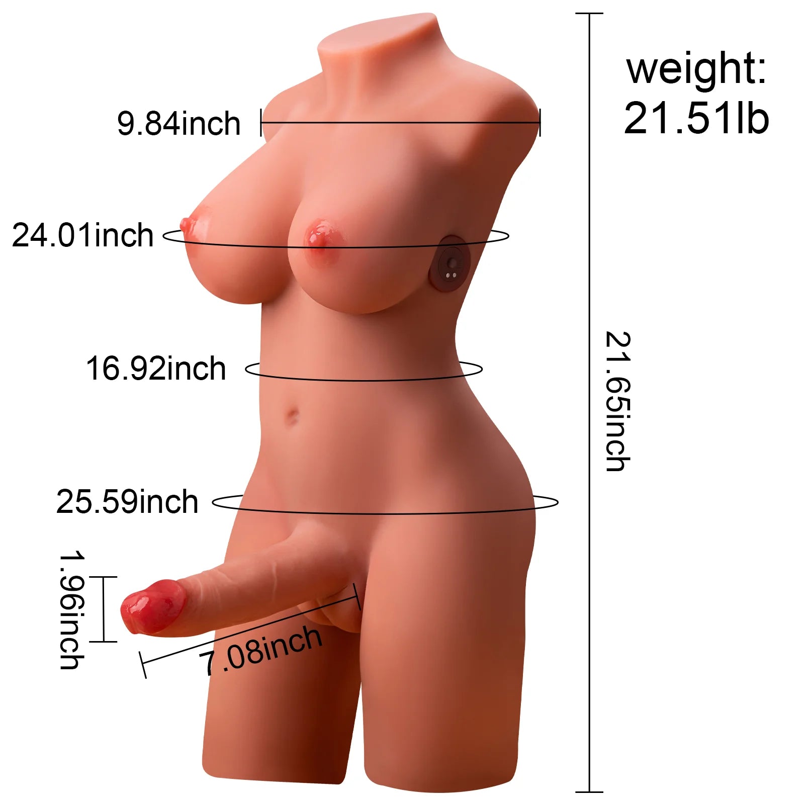 21.65in/21.51lb C Cup Electric Trans Sex Doll Torso