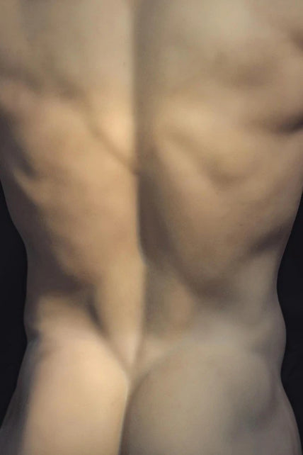 Realing Doll I 82cm/2ft8 Male Sex Doll Torso With Silicone Head - Ronin