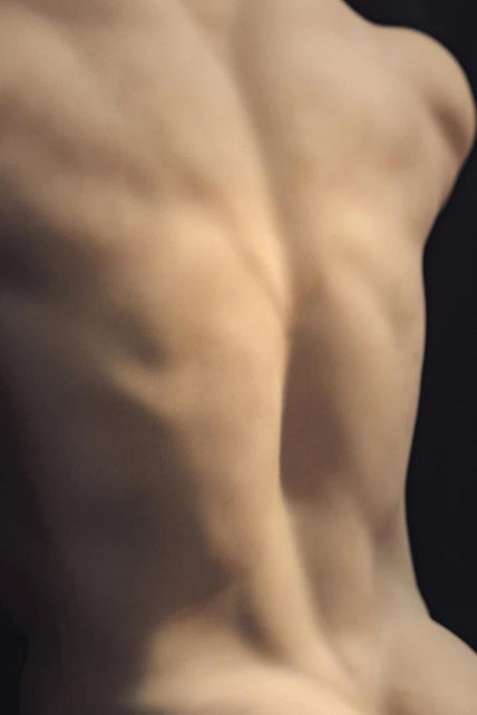 Realing Doll I 82cm/2ft8 Male Sex Doll Torso With Silicone Head - Ronin